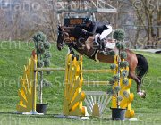 Alfonso Will Power TosTour2013- S5 2660 : Alfonso Antonio, Arezzo, Arezzo Equestrian Centre, Toscana Tour 2013, Will Rover, foto di Stefano Secchi ©